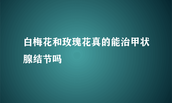 白梅花和玫瑰花真的能治甲状腺结节吗