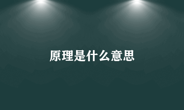 原理是什么意思