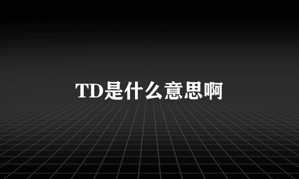 TD是什么意思啊