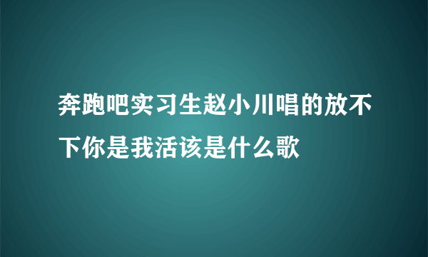 奔跑吧实习生赵小川唱的放不下你是我活该是什么歌