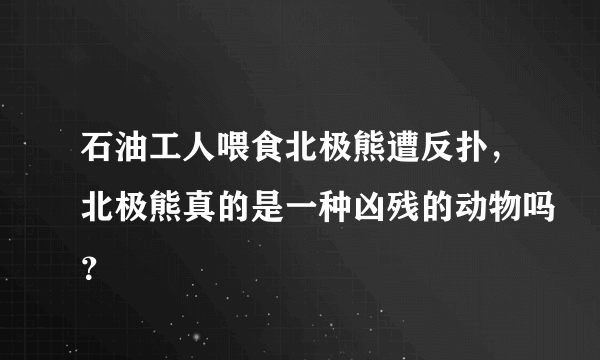 石油工人喂食北极熊遭反扑，北极熊真的是一种凶残的动物吗？