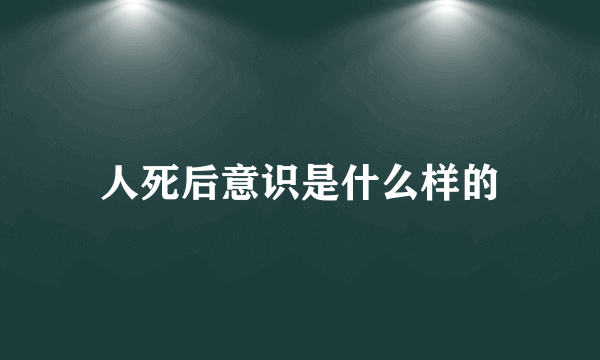 人死后意识是什么样的