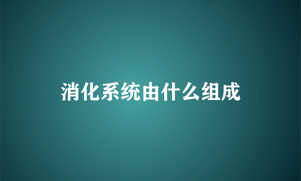 消化系统由什么组成