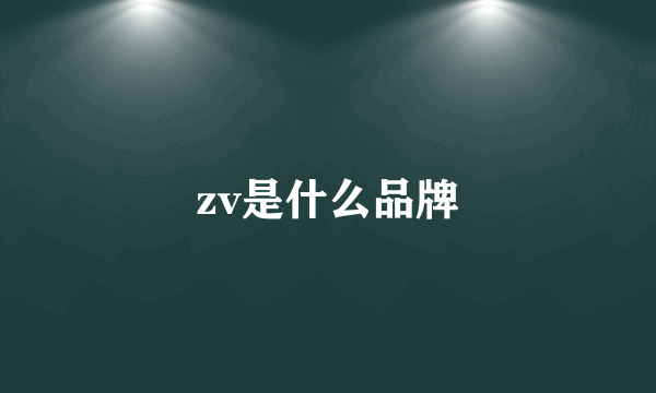 zv是什么品牌