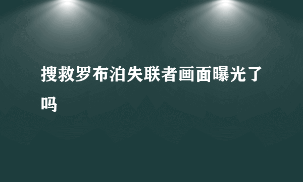 搜救罗布泊失联者画面曝光了吗