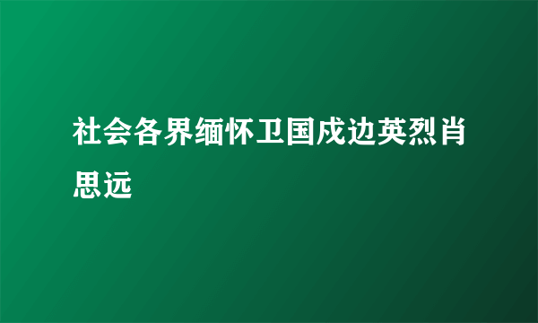 社会各界缅怀卫国戍边英烈肖思远