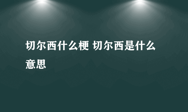 切尔西什么梗 切尔西是什么意思