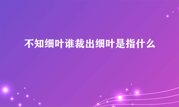 不知细叶谁裁出细叶是指什么