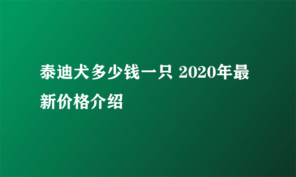 泰迪犬多少钱一只 2020年最新价格介绍