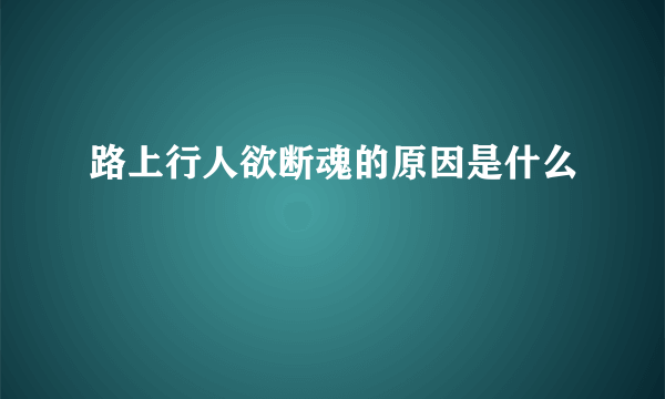 路上行人欲断魂的原因是什么