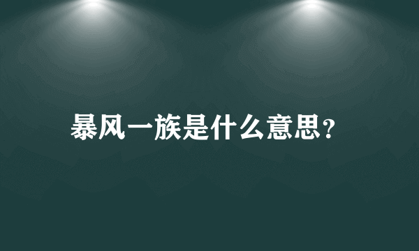 暴风一族是什么意思？