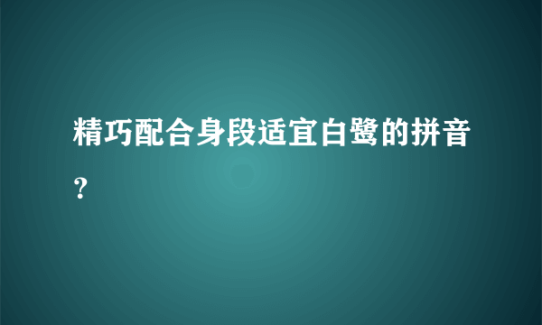 精巧配合身段适宜白鹭的拼音？