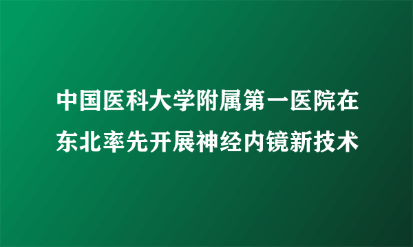 中国医科大学附属第一医院在东北率先开展神经内镜新技术