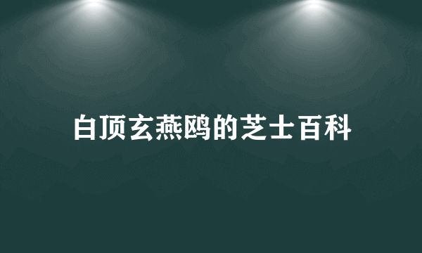 白顶玄燕鸥的芝士百科