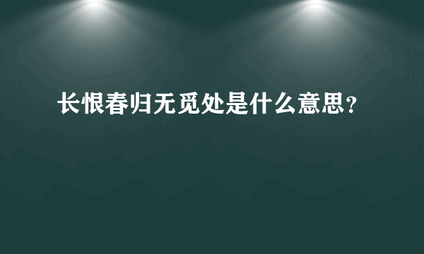 长恨春归无觅处是什么意思？