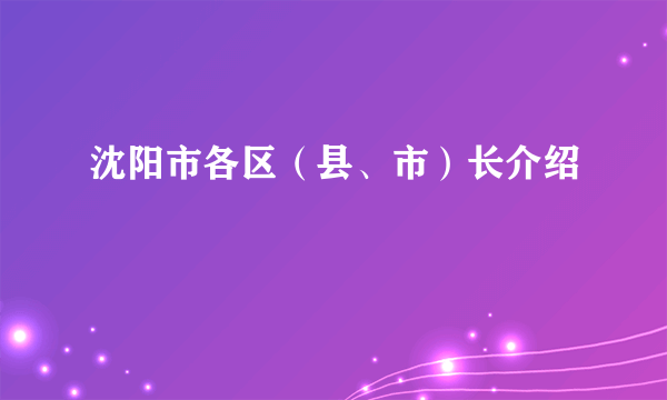 沈阳市各区（县、市）长介绍