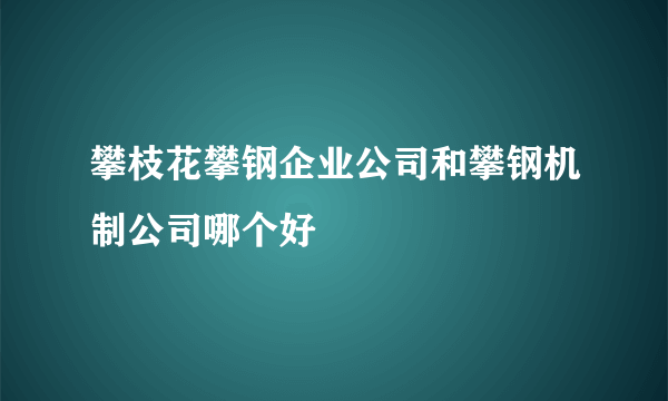 攀枝花攀钢企业公司和攀钢机制公司哪个好