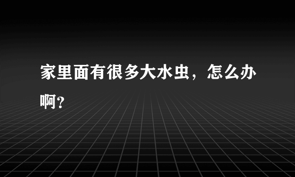 家里面有很多大水虫，怎么办啊？