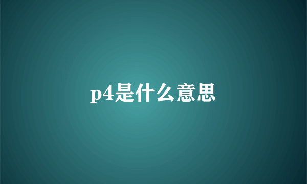 p4是什么意思