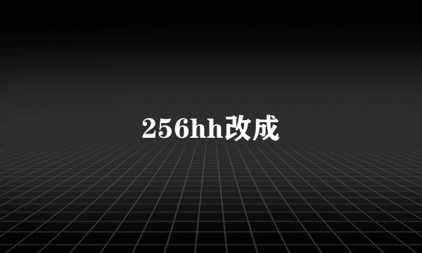 256hh改成