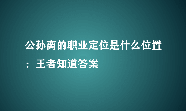 公孙离的职业定位是什么位置：王者知道答案