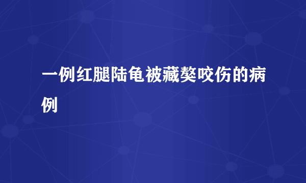 一例红腿陆龟被藏獒咬伤的病例