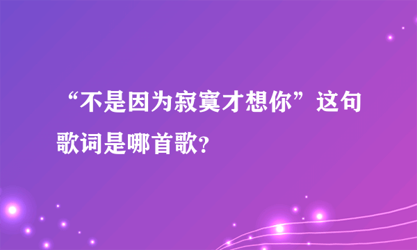 “不是因为寂寞才想你”这句歌词是哪首歌？