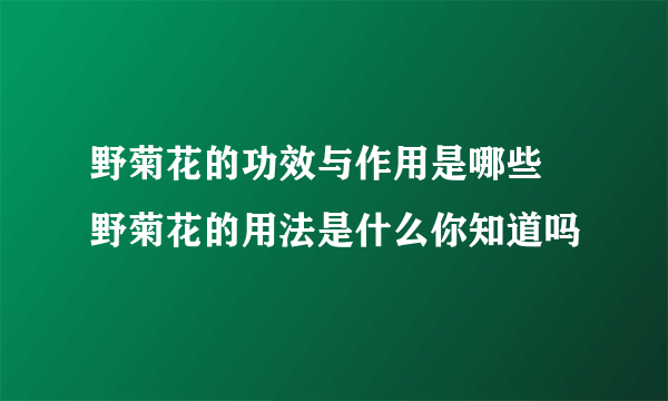 野菊花的功效与作用是哪些 野菊花的用法是什么你知道吗