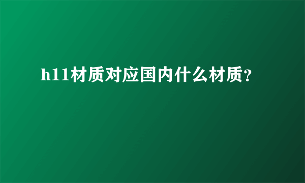 h11材质对应国内什么材质？