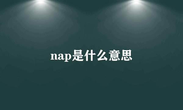 nap是什么意思