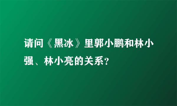 请问《黑冰》里郭小鹏和林小强、林小亮的关系？