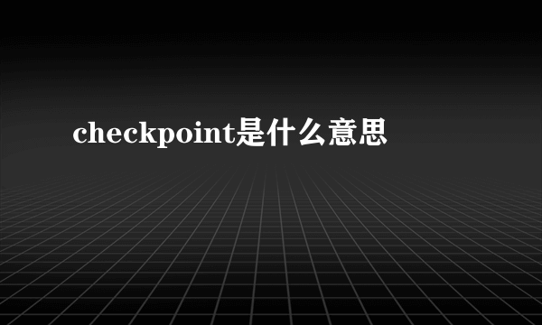 checkpoint是什么意思