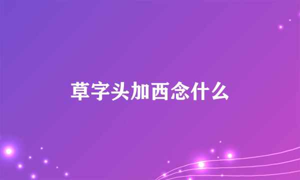 草字头加西念什么