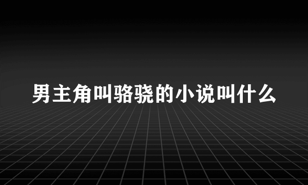 男主角叫骆骁的小说叫什么