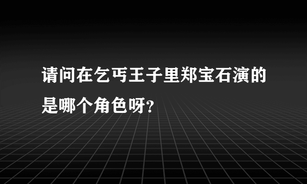 请问在乞丐王子里郑宝石演的是哪个角色呀？