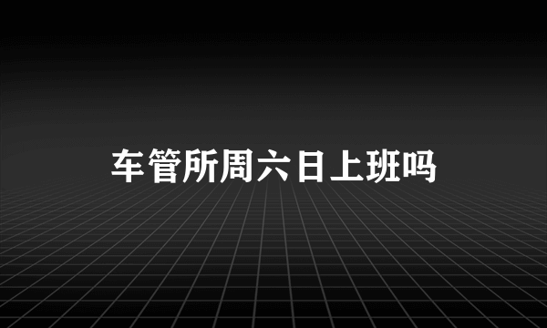 车管所周六日上班吗