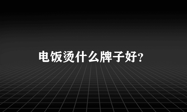 电饭烫什么牌子好？