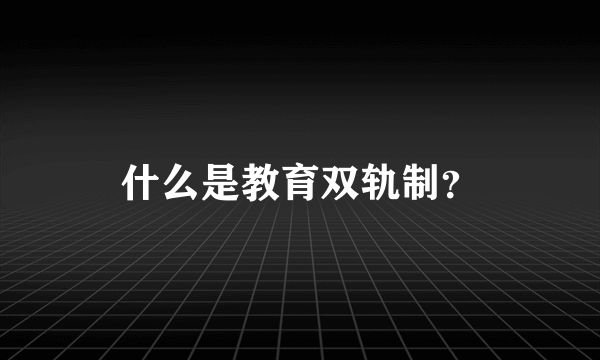 什么是教育双轨制？