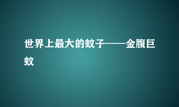 世界上最大的蚊子——金腹巨蚊