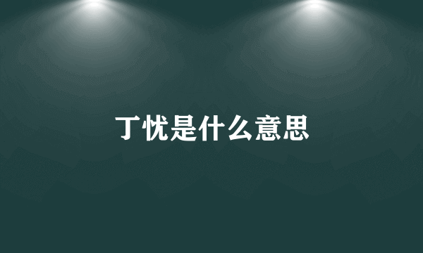 丁忧是什么意思