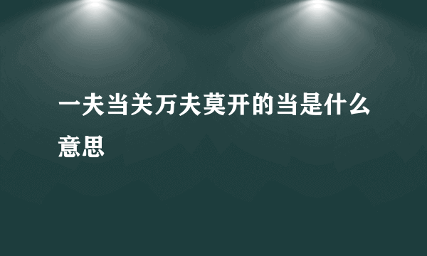 一夫当关万夫莫开的当是什么意思