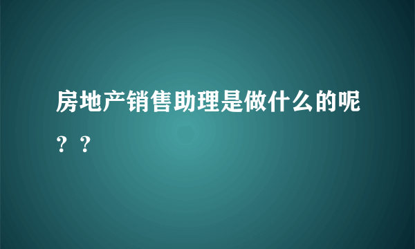 房地产销售助理是做什么的呢？？