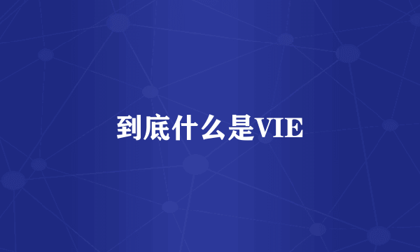 到底什么是VIE