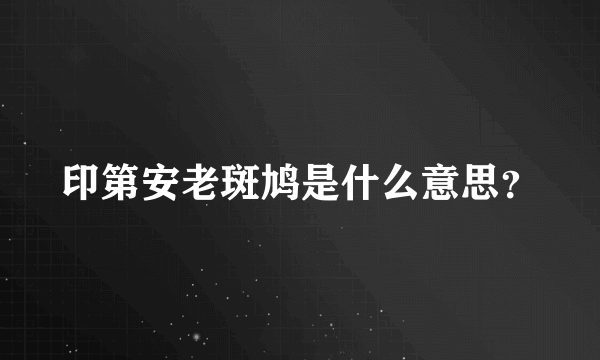 印第安老斑鸠是什么意思？