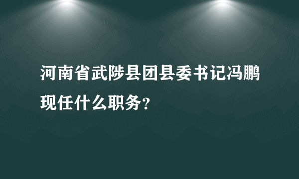 河南省武陟县团县委书记冯鹏现任什么职务？