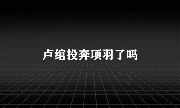 卢绾投奔项羽了吗