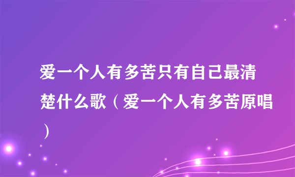 爱一个人有多苦只有自己最清楚什么歌（爱一个人有多苦原唱）