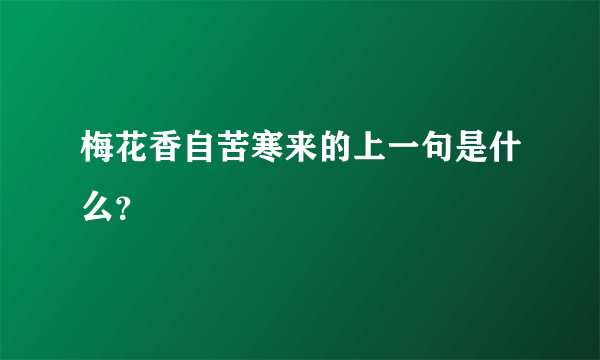 梅花香自苦寒来的上一句是什么？