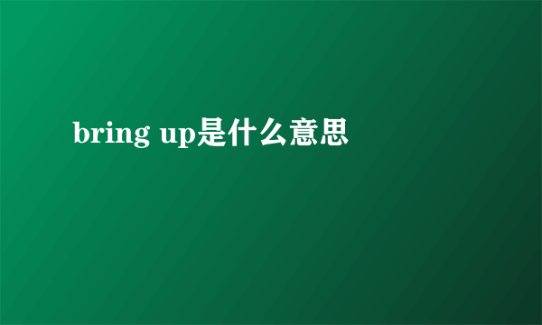 bring up是什么意思