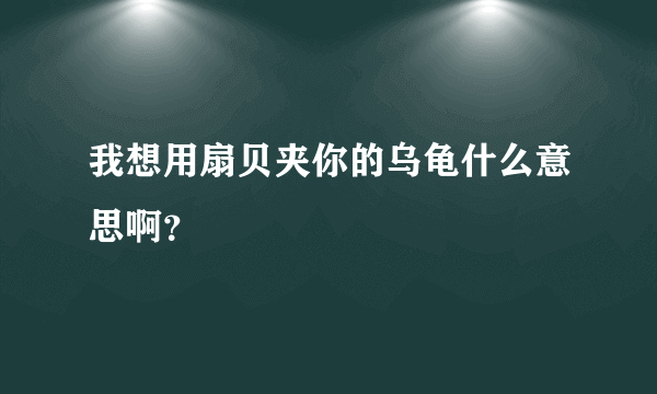 我想用扇贝夹你的乌龟什么意思啊？